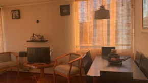 ACOGEDOR DEPARTAMENTO VIÑA PLAZA 6